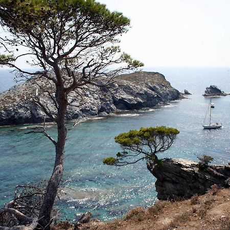 הייר T2 Vue Mer 50M De La Plage A Giens מראה חיצוני תמונה